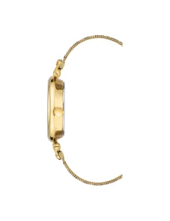 Cheap Anne Klein Leopard Mesh Band Watch- Sale Gold-Tone/Leopard