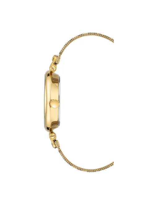 Cheap Anne Klein Leopard Mesh Band Watch- Sale Gold-Tone/Leopard