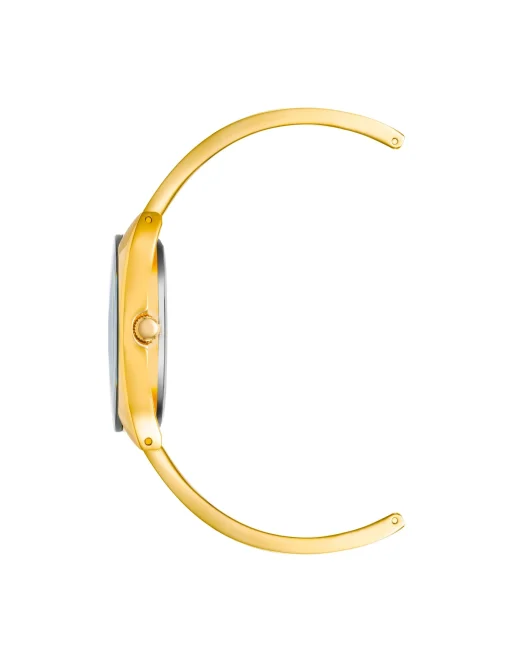 Fashion Anne Klein Modern Bangle Watch