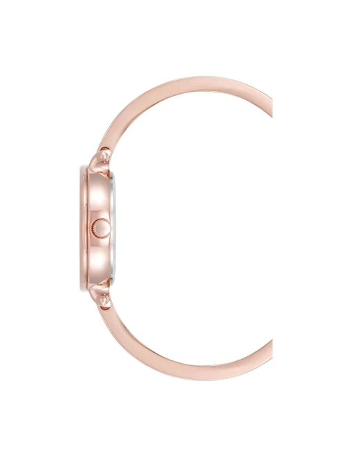 Online Anne Klein Round Gemstone Bangle Watch Set